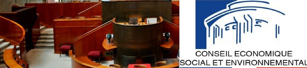 En direct : agenda 2030, le Conseil économique, social et environnemental rend son rapport En direct : agenda 2030, le Conseil économique, social et environnemental rend son rapport