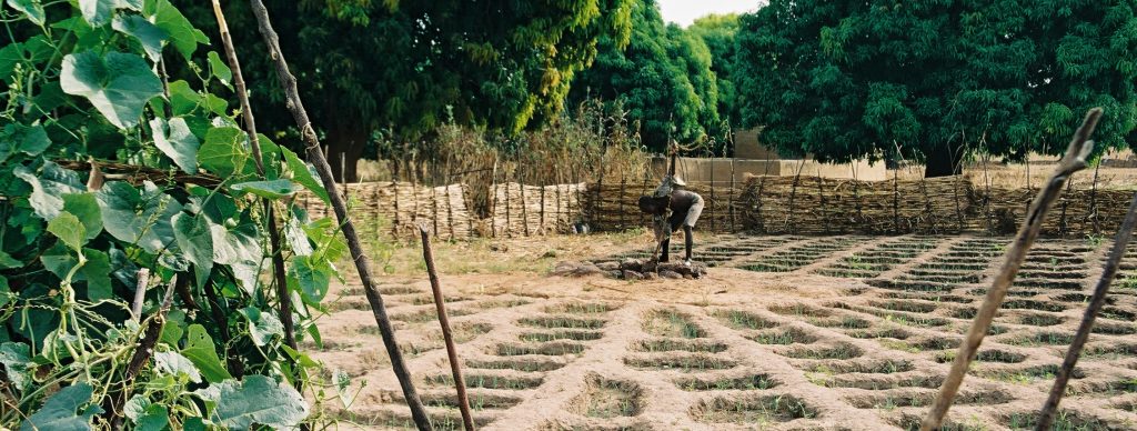 Conférence de Marrakech sur le climat : Les pays du Sud doivent être au cœur de l’application de l’Accord de Paris Conférence de Marrakech sur le climat : Les pays du Sud doivent être au cœur de l’application de l’Accord de Paris