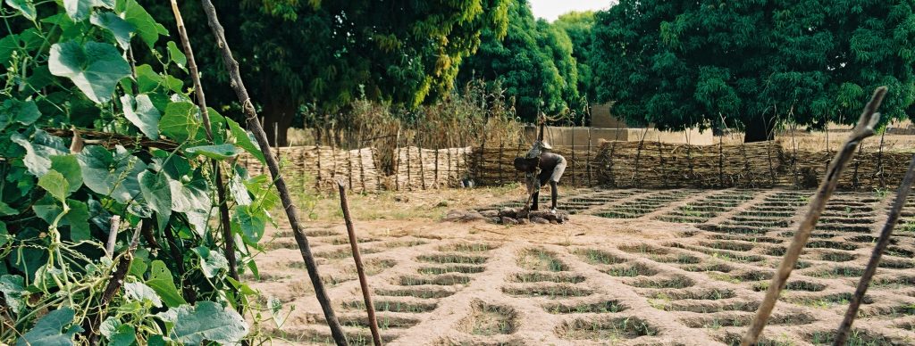 Conférence de Marrakech sur le climat : Les pays du Sud doivent être au cœur de l’application de l’Accord de Paris