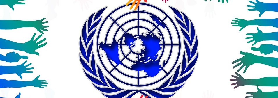 Marchandisation de l’éducation : une résolution importante adoptée par l’ONU Marchandisation de l’éducation : une résolution importante adoptée par l’ONU