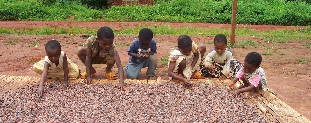 Exploitation des enfants dans les filières cacaoyères ivoiriennes, quels moyens pour lutter ?