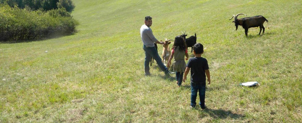 En Haute-Garonne : la solidarité avec les migrants se cultive