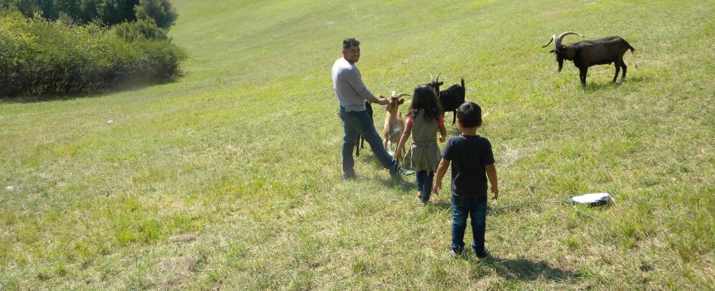 En Haute-Garonne : la solidarité avec les migrants se cultive En Haute-Garonne : la solidarité avec les migrants se cultive