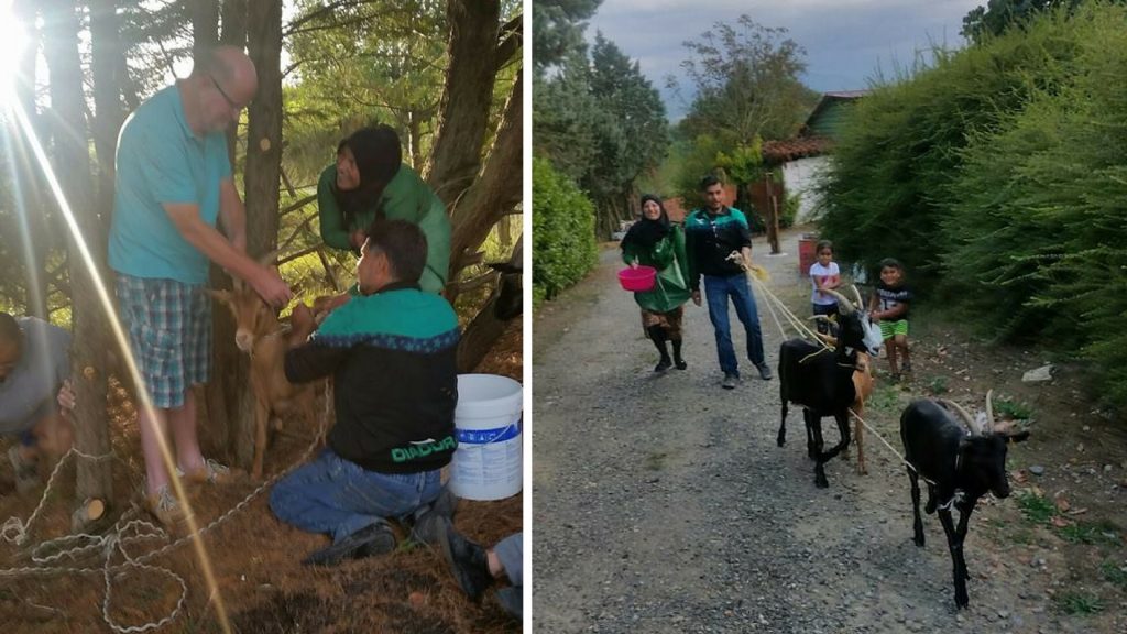 En Haute-Garonne : la solidarité avec les migrants se cultive