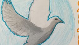 Dessine-moi une colombe : l’éducation comme arme de paix
