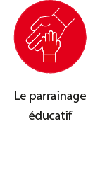 Nos actions en France et dans le monde