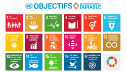 Les objectifs du développement durable, forum de haut niveau 2020 : prière d’accélérer !