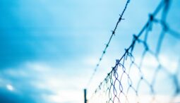 Nous, syndicats, associations, appelons à ne pas promulguer la loi immigration et à continuer la mobilisation