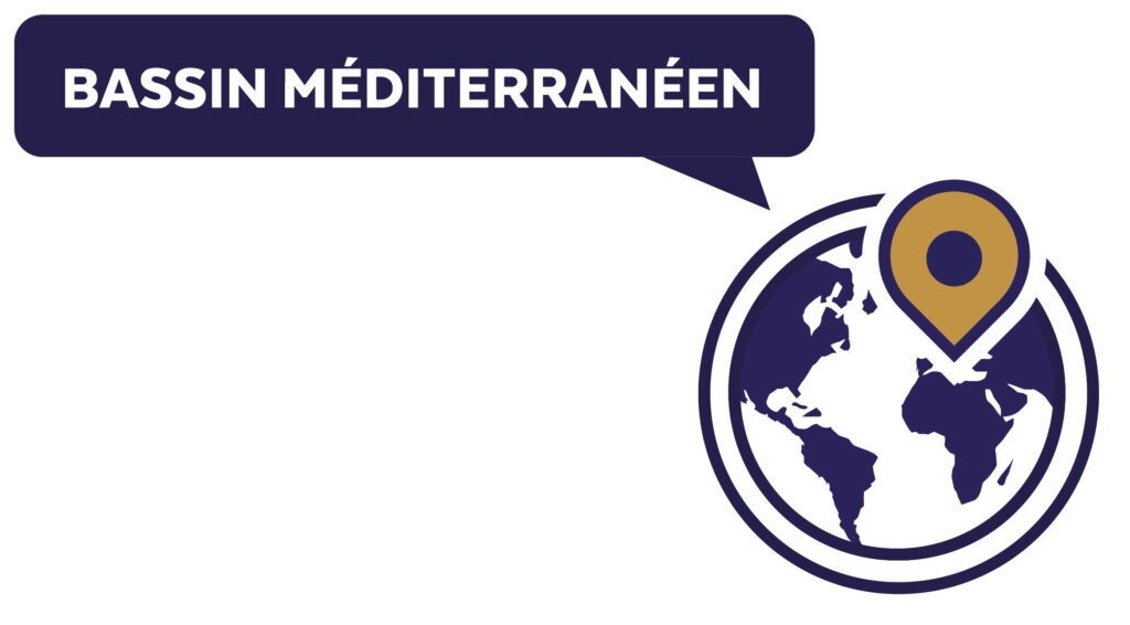 Du local au global, nos réponses aux désirs d’agir des jeunes.