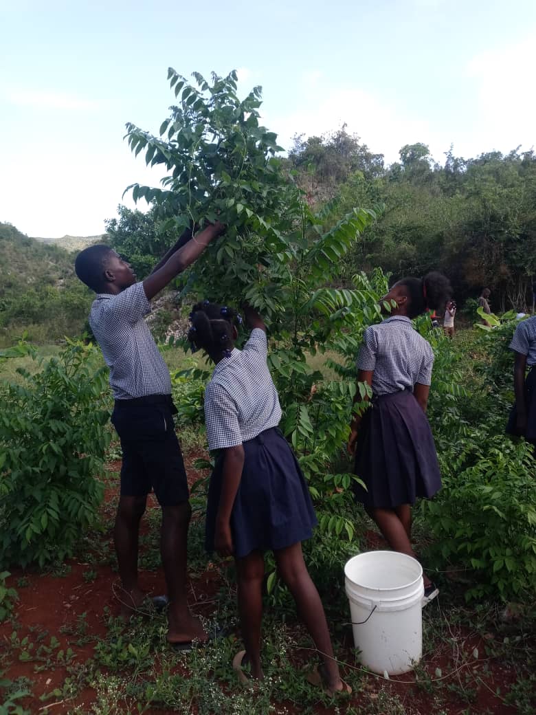 Haïti – Lekòl Chimen Libète